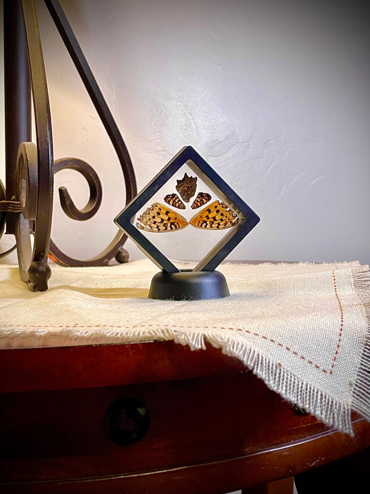 Butterfly wing decor